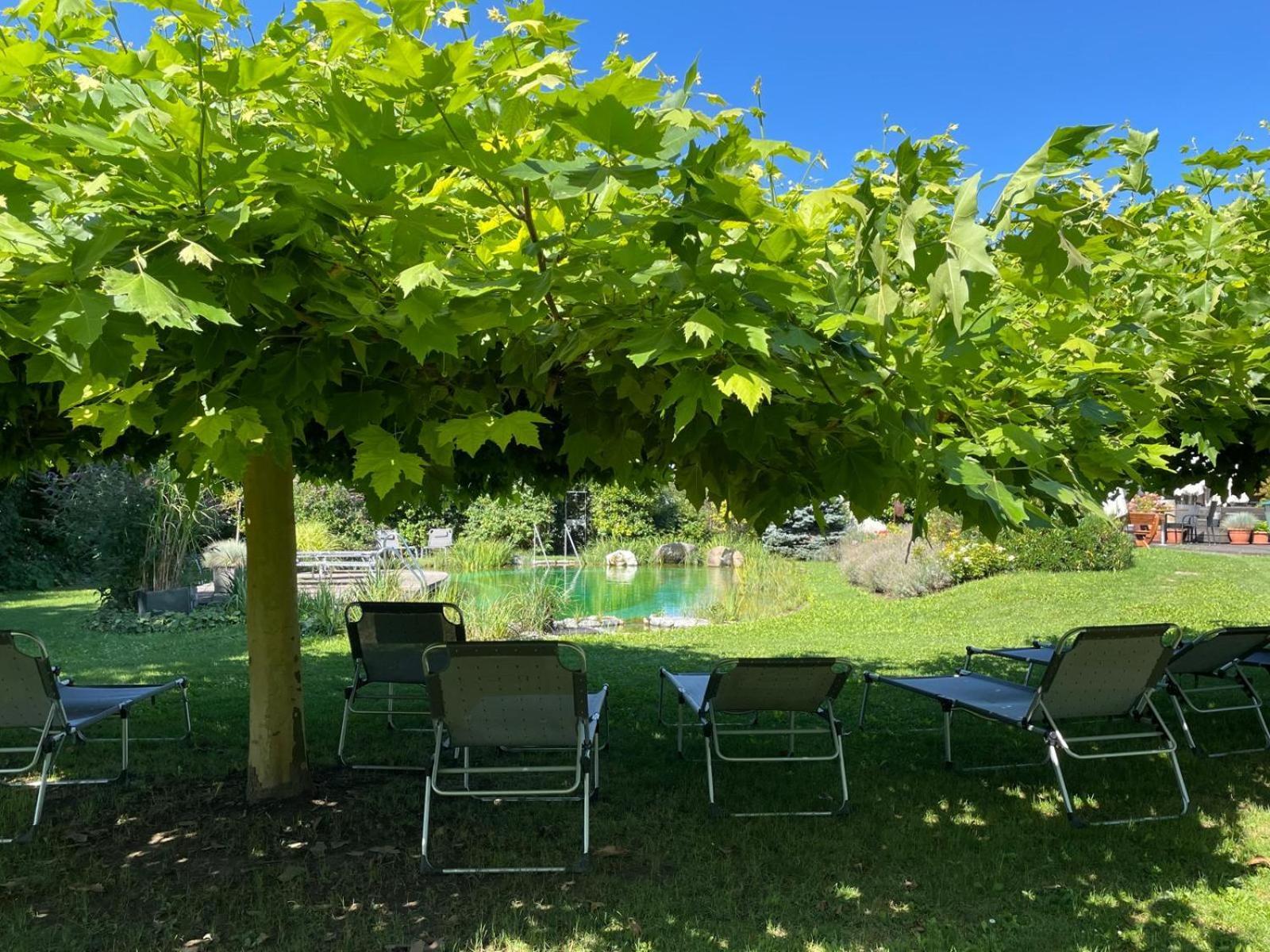 Weinresidenz Sonnleitner - Adults Only Ξενοδοχείο Furth bei Gottweig Εξωτερικό φωτογραφία